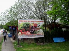 green market_aleksandrovo_8